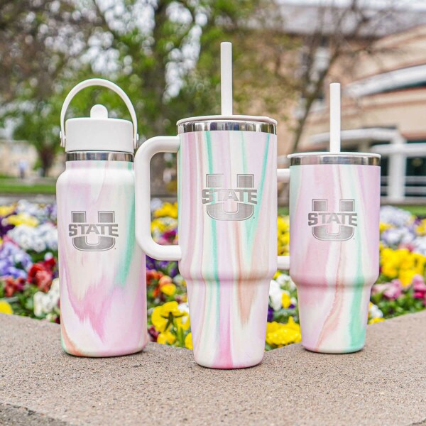 Three different sizes of Hydro Flasks in the sugar rush color.